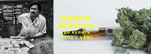 дурь Горняк