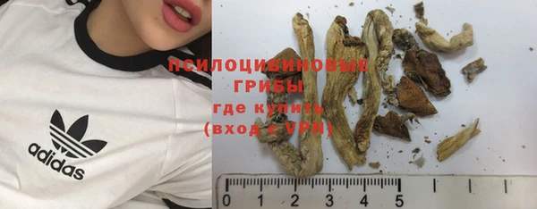 COCAINE Горно-Алтайск