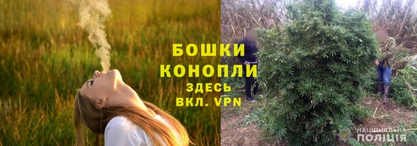 дурь Горняк