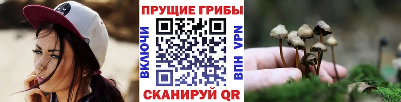 Псилоцибиновые грибы Psilocybine cubensis  Железногорск 